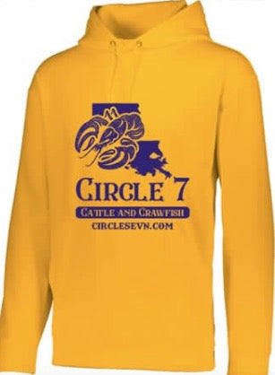Yellow and Purple Circle 7 Hoodie
